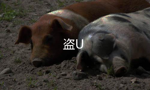 盗U-问鼎APP源码-zunyueyuanma.com