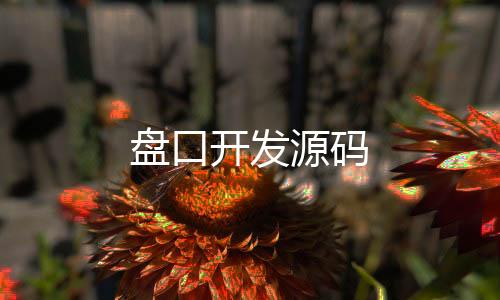盘口开发源码-数字货币源码-zunyueyuanma.com