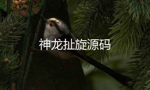神龙扯旋源码-澳洲8-zunyueyuanma.com