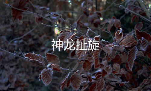 神龙扯旋-拉霸系统-zunyueyuanma.com