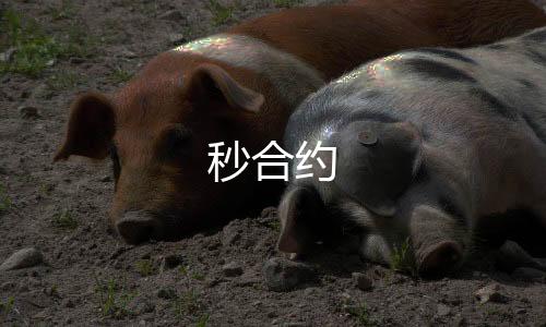 秒合约-幸运飞艇源码-zunyueyuanma.com