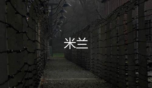 米兰-彩鲸捕鱼源码-zunyueyuanma.com