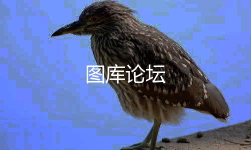 图库论坛-质押挖矿-zunyueyuanma.com