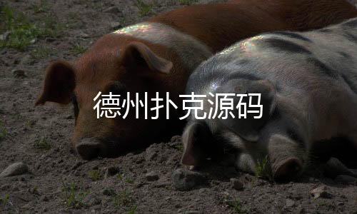 德州扑克源码-IM聊天源码-zunyueyuanma.com