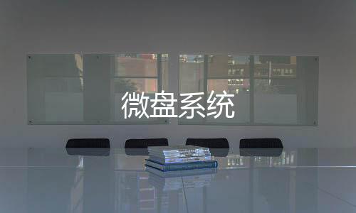 微盘系统-控制系统源码-zunyueyuanma.com