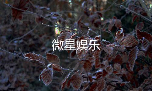 微星娱乐-海外理财源码-zunyueyuanma.com