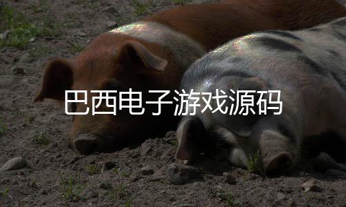 巴西电子游戏源码-币币系统-zunyueyuanma.com