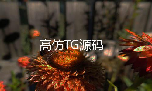 高仿TG源码-微交易源码-zunyueyuanma.com