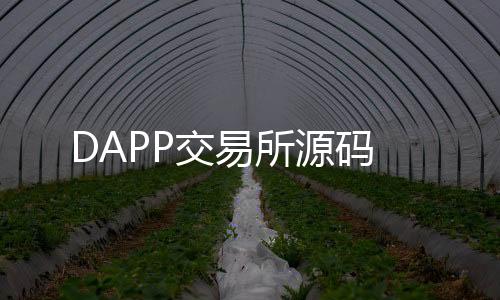 DAPP交易所源码-海外贷款源码-zunyueyuanma.com